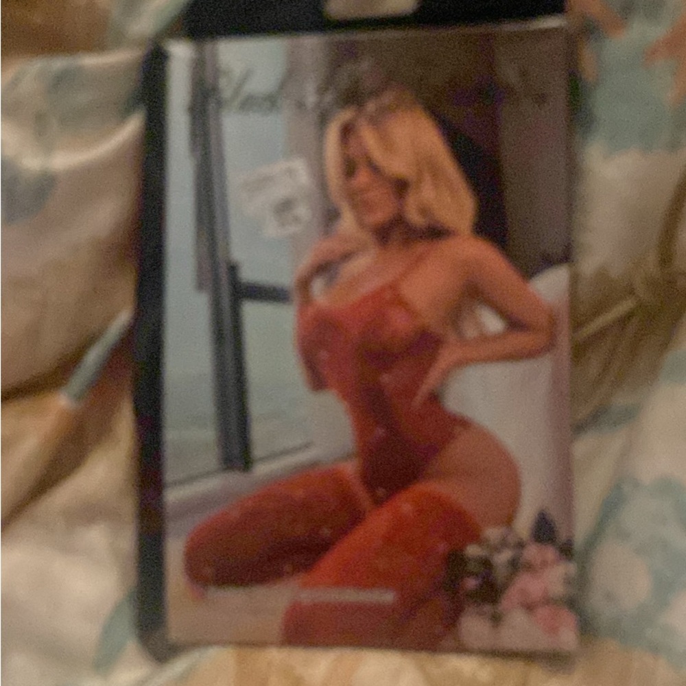 Red Lingerie Set - image 1